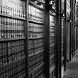 law book in library - grayscale