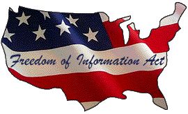 outline of U.S. with a flag inside